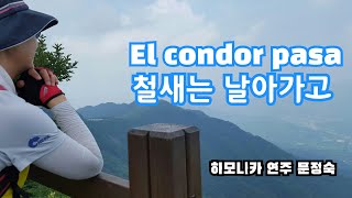 El condor pasa 철새는 날아가고 (하모니카연주 문정숙)