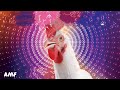 J.Geco - Chicken Song (Music Video HD)