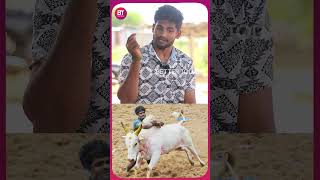 Jallikattu | \