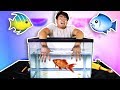 Whats In The Box Underwater Edition