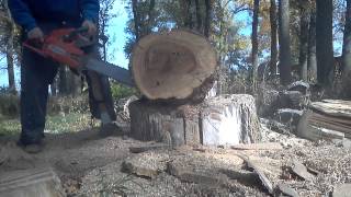Husqvarna 288 XP lite chainsaw