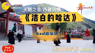 天籁之音/西藏风情《洁白的哈达献给你》/@hxd音乐坊