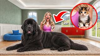 World's Biggest Vs Smallest Pets | Full Movie