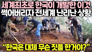 세계최초로 한국이 개발한 이것 썩어버리자 전세계 난리난 상황 // \