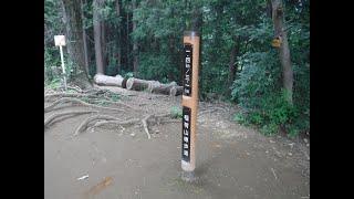 2024.07.10（水）稲荷山【TOKYO八王子隠れ名山】と高尾山(稲荷山コース↑6号路↓）