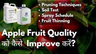 Apple Fruit Quality को कैसे  Improve करें?