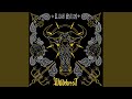 Wildebeest