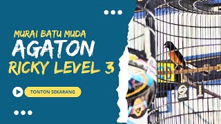 DOUBLE WINNER ‼️ MURAI MUDA AGATON BIKIN KEJUTAN