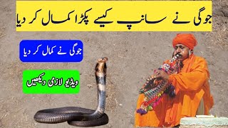 جوگی کا سانپ پکڑنے کا طریقہ دیکھیں #jogi snack /لجپال ٹی وی/lajpal tv /catching snack