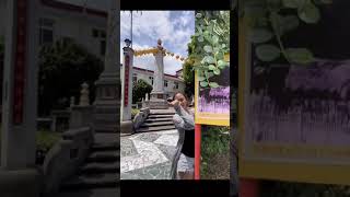 全台灣的王母娘娘都是從這個地方來的！？ #花蓮景點 #勝安宮 #國旅 #tiktok