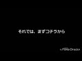 福島記念 エリザベス女王杯 2017年11月12日 競馬予想