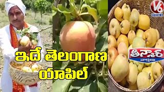 A man's experiment turns Dhanaura into apple orchard | V6 News