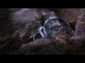 Avid Dancer - I Feel It