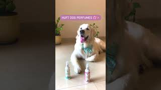 HUFT | Dog Perfumes