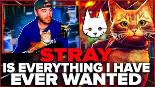 STRAY IS EVERYTHING I HAVE EVER WANTED