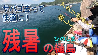 【サバゴ去る】残暑の樋島でチヌとヘダイ【かかり釣り】