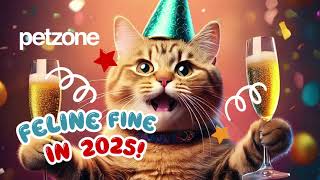 New Year, New Deals on Cat Food! 🐱 Start 2025 with Petzone Savings on Top Brands