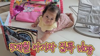 육아브이로그 l 육아육묘 vlog l 5개월 아기와의 일상 루틴 l 청소하다 끝나는 하루 a day staying home with my baby