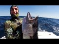 great white shark halts all time spearfishing session from hunting to hunted day 1