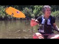 massive carp spawning party in the payette river