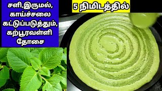 கற்பூரவள்ளி தோசை #dosa #dosai #dosairecipe #dosarecipe #breakfast recipes in tamil #breakfast#tiffin