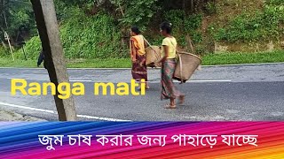 পাহাড়ি জনগোষ্ঠীর জুম চাষ করার জন্য পাহাড়ে যাচ্ছে পাহাড়ি HOW TO \