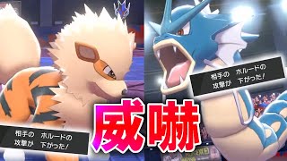 「Wいかく兵法」でサイクル戦を勝利に導け！！【ポケモン剣盾】