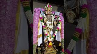 Thiruchendur muruga திருச்செந்தூர் முருகா🙏🦚🙏🦚 #trendingshorts #shortfeed #devotionalsongs #முருகன்🦚🙏