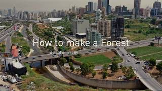 SUGi | How to make a Miyawaki Forest in Beirut Lebanon.