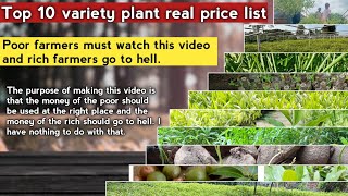 Top 10  plant real price | Agarwood Tree | Sandalwood Tree | Macadamia Tree | Most expensive farming