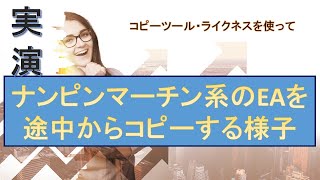 【ショートver】コピーツールを使って途中からコピーする方法　#ea #fx #コピートレード #自動売買