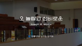 [태릉성당]  오 놀랍고 신비로운 ( The beautiful impossible) -Joseph M. Martin  (주님 성탄 대축일-낮미사 특송)