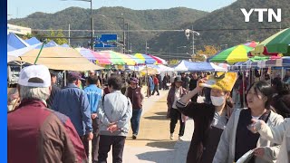 [경기] 광주시, 제1회 '곤지암 소머리국밥 거리 축제' 개최 / YTN