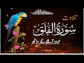 Surah Al-Falaq| I'm Best Muslim| Beautiful Quran Recitation