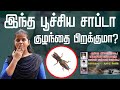 Interesting facts about cricket insect | Myths & Truths about Mole Cricket & Pregnancy | Dolbear law