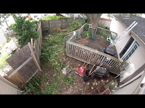 How to clear an overgrown backyard - TIMELAPSE How to clear an overgrown backyard - TIMELAPSE