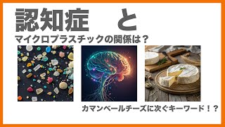 認知症とマイクロプラスチック　カマンベールチーズに次ぐ新たなキーワード　＃認知症　＃介護保険部会　＃カマンベールチーズ