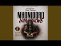 MHONDORO HAIRWISWE