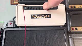 Bad Cat lynx 50 the greatest high gain amp