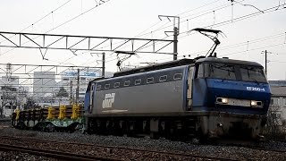 貨物列車 8090レ EF200-4 日鐵チキ18両 (2015.3.15)