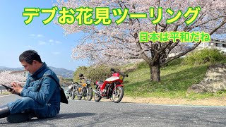 桜満開お花見ツーリングin常陸太田　CB750F CB750K XJ400D