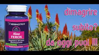 Dimagrire con aloe ferox