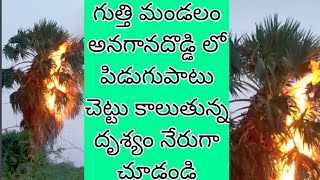 గుత్తి మండలం అనగానదొడ్డి లో పిడుగుపాటు చెట్టు కాలుతున్న దృశ్యం నేరుగా చూడండి || Kld Samachar