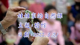 0321- 娃娃家的自然課~主題: 蟾蜍