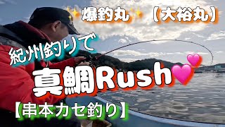 A20【2月中旬の紀州釣り編/カセ真鯛Rush💕】大裕丸✨串本大島