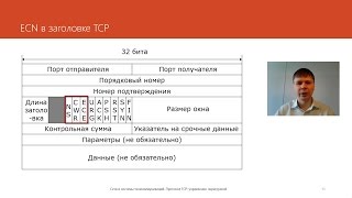 Протокол TCP: управление перегрузкой, часть 2 | Курс 