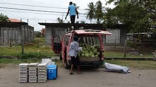 Cayenne, Paramaribo et Georgetown