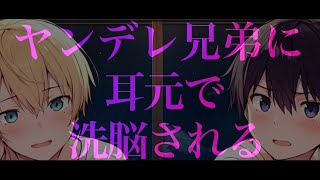 【ASMR/ヤンデレ】ヤンデレ兄弟に耳元で洗脳される【女性向け】【シチュエーションボイス】