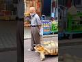 The turtle that accompanied my grandfather for decades #shortsvideo #shorts #animals  #healing