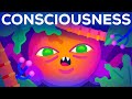 The Origin of Consciousness – How Unaware Things Became Aware The Origin of Consciousness – How Unaware Things Became Aware